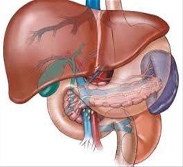 برگزاری دومین کنگره بیماری‌های کبدی